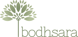Bodhsara Wellness Studio