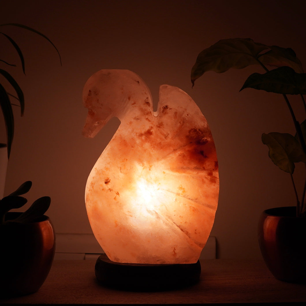 Healing Swan Himalayan Salt Lamp