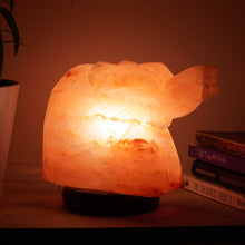 Load image into Gallery viewer, Healing Elephant Himalayan Salt Lamp
