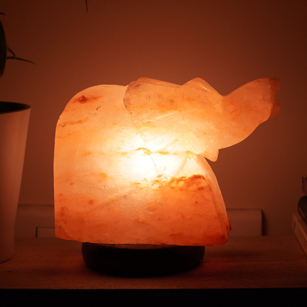 Healing Elephant Himalayan Salt Lamp