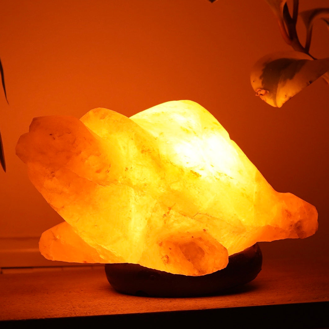 Healing Turtle Himalayan Salt Lamp