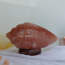 Load image into Gallery viewer, Healing Shanq Himalayan Pink Salt Lamp

