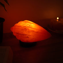 Load image into Gallery viewer, Healing Shanq Himalayan Pink Salt Lamp

